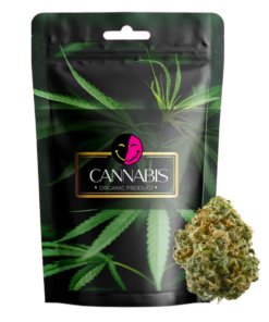 Blue Dream Flower Strain ( Fryd )