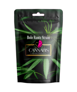 BOLO RUNTZ STRAIN